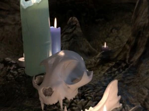 cat skull zbrush sculpture 3D Model