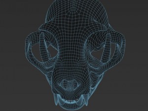 cat skull zbrush sculpture 3D-Modell