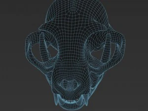 cat skull zbrush sculpture 3D Model