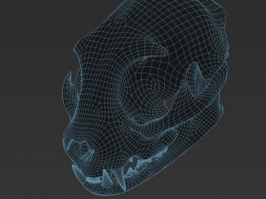 cat skull zbrush sculpture 3D-Modell
