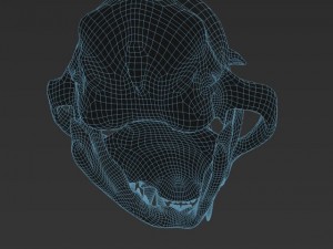 cat skull zbrush sculpture 3D-Modell