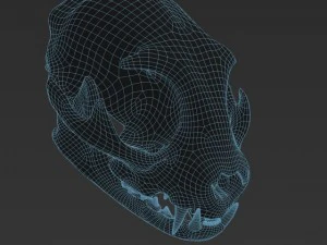 cat skull zbrush sculpture 3D Model