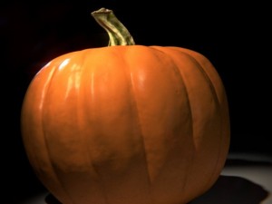 pumpkin Model 3D