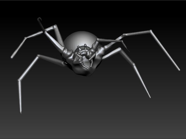spider 3D Model .c4d .max .obj .3ds .fbx .stl .blend 