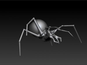 spider 3D Model