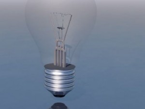 bulb Modèle 3D