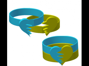 ring Modello 3D