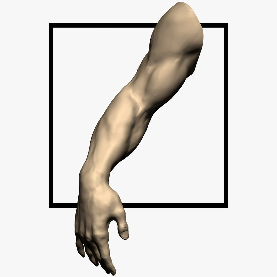 3d models arm sculpt high poly 3D Model .c4d .max .obj .3ds .fbx .stl .blend 