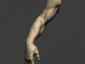 3d models arm sculpt high poly 3D Модель
