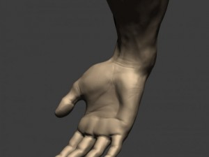 3d models arm sculpt high poly 3D Модель