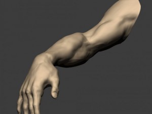 3d models arm sculpt high poly 3D Модель