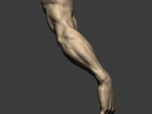 3d models arm sculpt high poly 3D Модель
