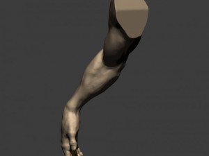 3d models arm sculpt high poly 3D Модель