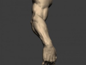 3d models arm sculpt high poly 3D Модель