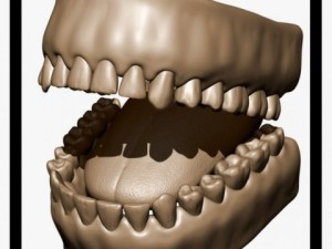 teeth and tongue Model 3D