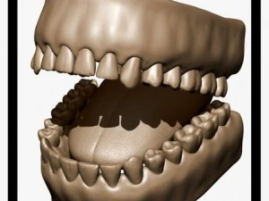 dentes e l&iacute;ngua Modelo 3D
