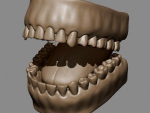 teeth and tongue Modelo 3D
