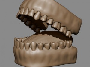 teeth and tongue Modelo 3D