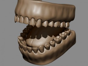 teeth and tongue Modelo 3D