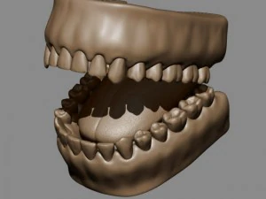 teeth and tongue 3D Model