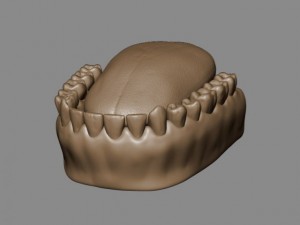 teeth and tongue Modelo 3D