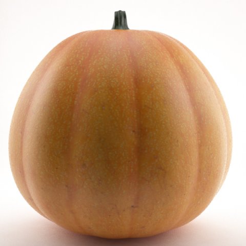 pumpkin 3D मॉडल .c4d .max .obj .3ds .fbx .stl .blend 