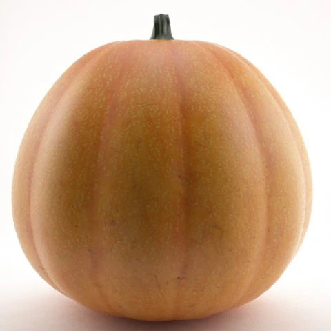 호박 3D 모델 .c4d .max .obj .3ds .fbx .stl .blend 