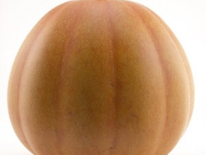 pumpkin Modèle 3D