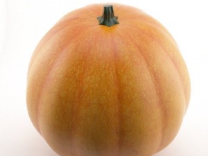 pumpkin 3D मॉडल