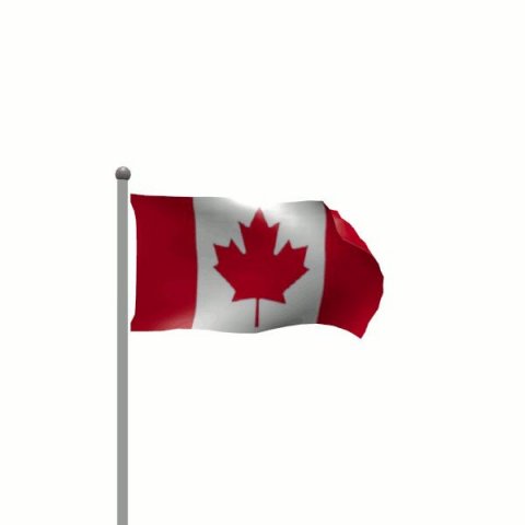 flag 3D Model .c4d .max .obj .3ds .fbx .stl .blend 