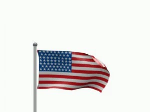 флаг США 3D Модель