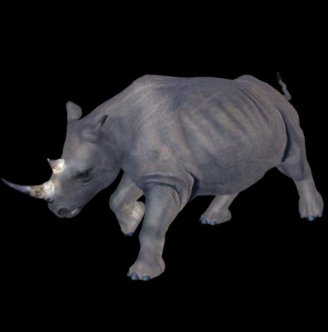 rino 3D 模型 .c4d .max .obj .3ds .fbx .stl .blend 
