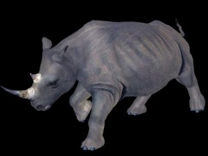 rino Modelo 3D