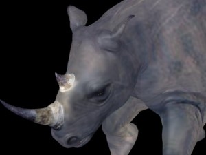 rino 3D 模型