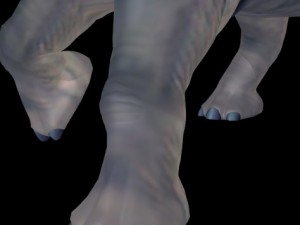 rino 3D 模型