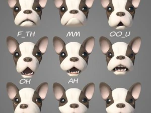 szczeniak z przemianami Model 3D