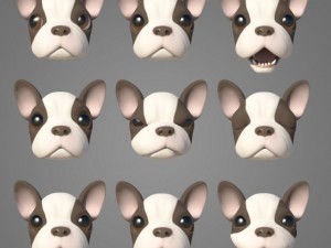 puppy with morphs 3D मॉडल
