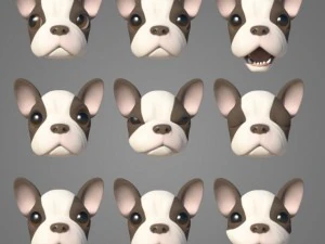 szczeniak z przemianami Model 3D