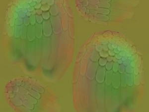 postać z kresk&oacute;wki ptaka Model 3D