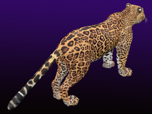 Jaguar Rigged 3D Модель
