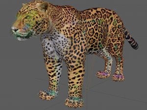 Jaguar Rigged 3D Модель