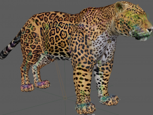 Jaguar Rigged 3D Модель