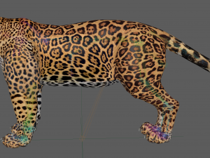 Jaguar Rigged 3D Модель