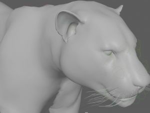 Jaguar Rigged 3D Модель