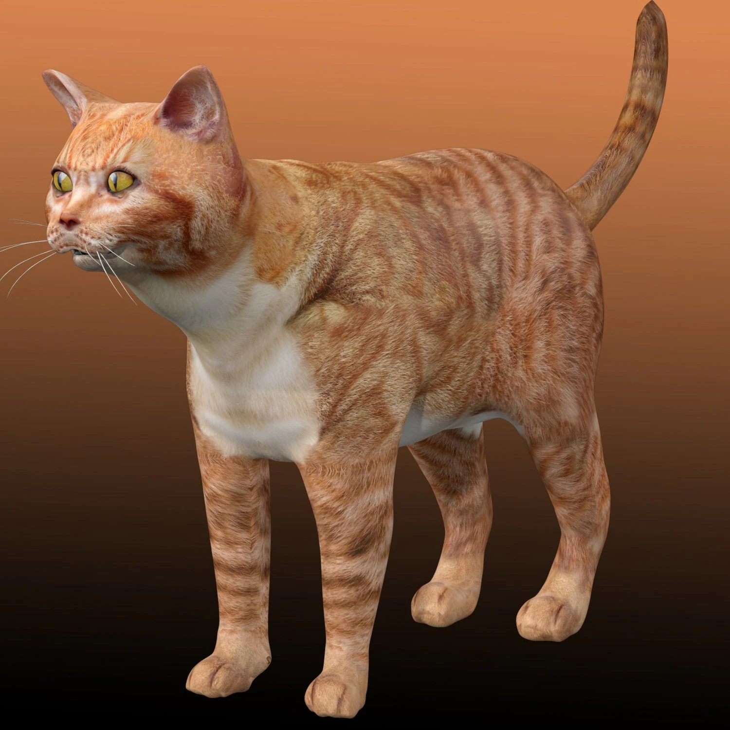 Gato atigrado naranja Modelo 3D .c4d .max .obj .3ds .fbx .stl .blend 