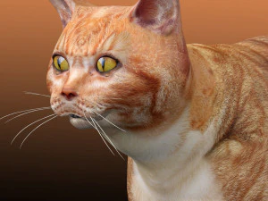 Gato atigrado naranja Modelo 3D