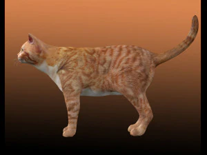 Gato atigrado naranja Modelo 3D