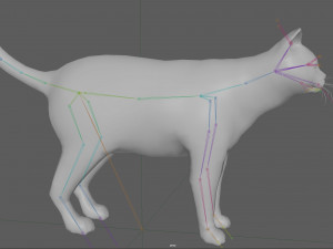 Orange Cat Tabby Modello 3D