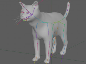 Orange Cat Tabby Modello 3D