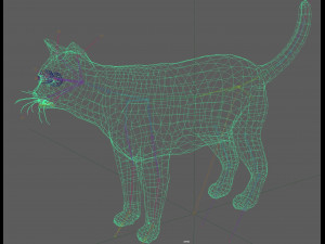 Orange Cat Tabby Modello 3D